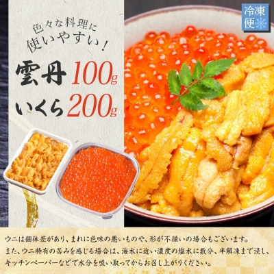 ウニ 100g & いくら醤油漬け 200g 海鮮 2色丼セット 北海道 弟子屈町 2498