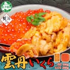【のし付】ウニ 100g & いくら醤油漬け 200g 海鮮2色丼セット 北海道 弟子屈町 3403