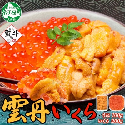 【のし付】ウニ 100g & いくら醤油漬け 200g 海鮮2色丼セット 北海道 弟子屈町 3403