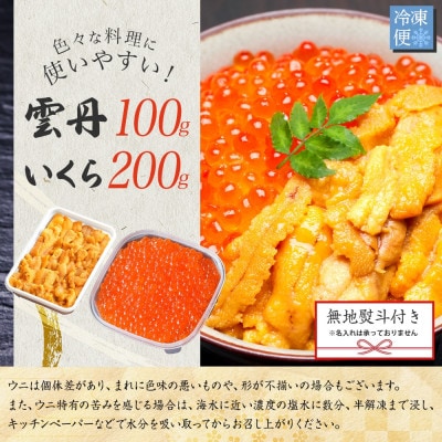 【のし付】ウニ 100g & いくら醤油漬け 200g 海鮮2色丼セット 北海道 弟子屈町 3403