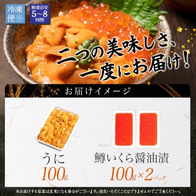 【のし付】雲丹 100g 鱒いくら 100g×2個  うに チリ産 北海道 弟子屈町 3405