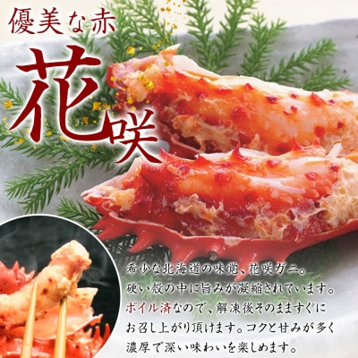 【のし付】花咲ガニ 1尾 姿 約600g 蟹ハサミ・ガイド付 ボイル済み 北海道 弟子屈町 2926