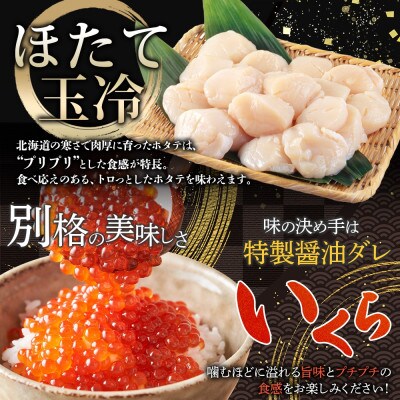 【のし付】紅ズワイガニ ポーション & いくら & 帆立 海鮮丼3種 北海道 弟子屈町 3379