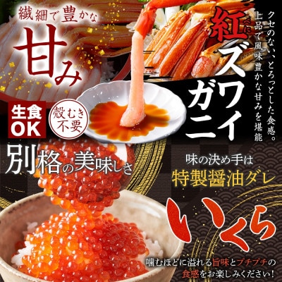 【のし付】紅ズワイガニ ポーション & うに & いくら & 帆立 北海道 弟子屈町 3426