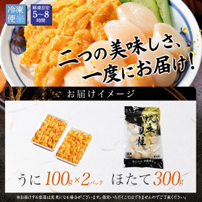 【のし付】ウニ 200g & ホタテ 300g 海鮮丼セット 北海道 弟子屈町 3406