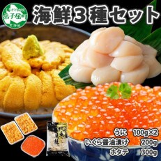 【のし付】ウニ & いくら醤油漬け & ホタテ 海鮮丼 3種 北海道 弟子屈町 1729