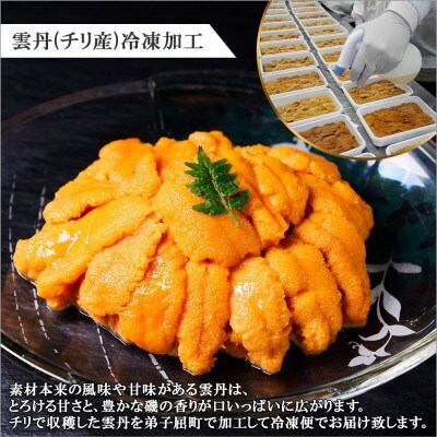 【2024年2月下旬発送】【のし付】ウニ いくら醤油漬け ホタテ 北海道 弟子屈町 1729