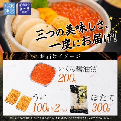 【のし付】ウニ & いくら醤油漬け & ホタテ 海鮮丼 3種 北海道 弟子屈町 3326