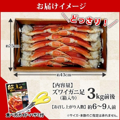 【のし付】 ズワイガニ足 3kg 箱入 6-9人前 蟹ハサミ付 ボイル済 北海道 弟子屈町 2990