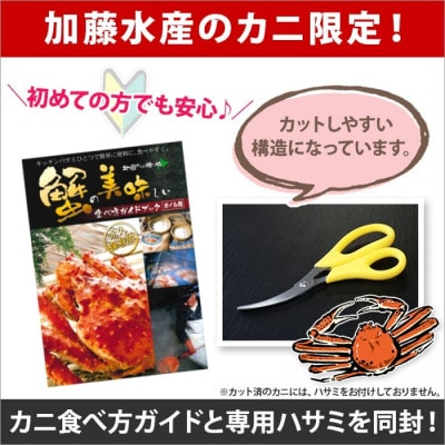 【のし付】 ズワイガニ足 3kg 箱入 6-9人前 蟹ハサミ付 ボイル済 北海道 弟子屈町 2990