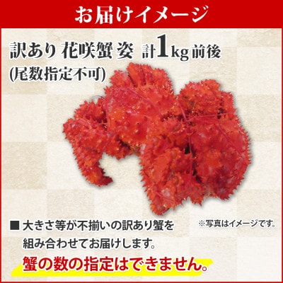 訳あり 花咲蟹 姿 約1kg 初めてでも安心 専用ハサミ・ガイド付き 北海道 弟子屈町 1780