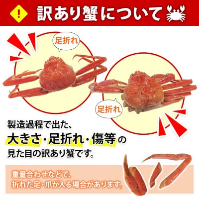 訳あり ズワイ蟹 姿 約1kg 初めてでも安心 専用ハサミ・ガイド付き 北海道 弟子屈町 1779