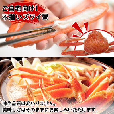 訳あり ズワイ蟹 姿 約1kg 初めてでも安心 専用ハサミ・ガイド付き 北海道 弟子屈町 1779