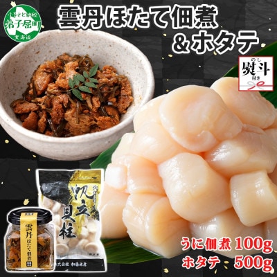 【のし付】ゴロっと海鮮入り 雲丹ほたて佃煮 100g ホタテ 500g 北海道 弟子屈町 3440