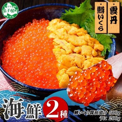 【無地熨斗】2種海鮮丼 鱒いくら醤油漬け100g×5個 ウニ100g×2個 北海道弟子屈町 3402