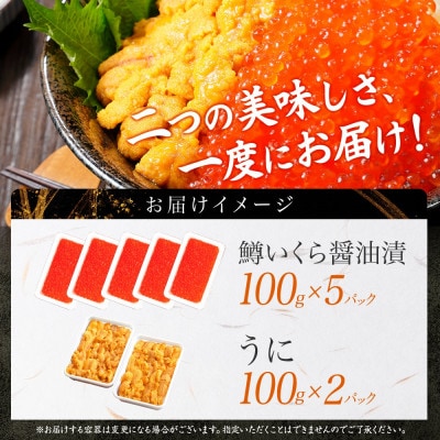 【無地熨斗】2種海鮮丼 鱒いくら醤油漬け100g×5個 ウニ100g×2個 北海道弟子屈町 3402