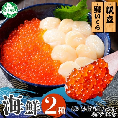【無地熨斗】鱒いくら醤油漬け100g×5個(5～6人前) 帆立300g 北海道弟子屈町 3340