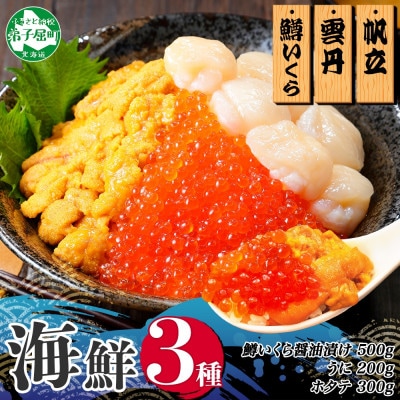 【無地熨斗】鱒いくら醤油漬け100g×5個 うに200g ホタテ300g 北海道弟子屈町 3350