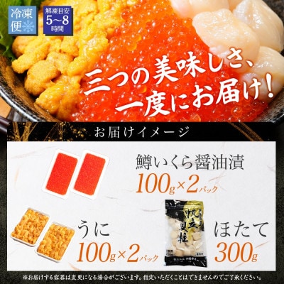 【無地熨斗】うに100g×2 鱒いくら醤油漬け100g×2 ホタテ300g 北海道弟子屈町 3352
