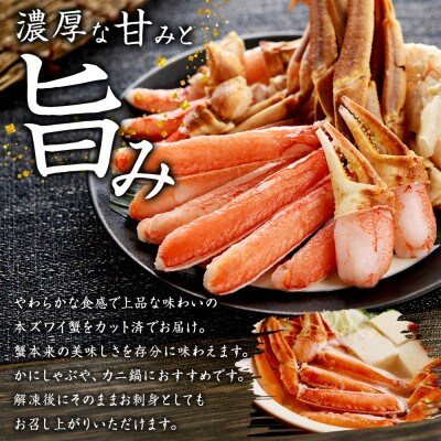 ズワイ蟹しゃぶ ビードロ 800g×3個(6～9人前) 生食 鍋 北海道弟子屈町 2996