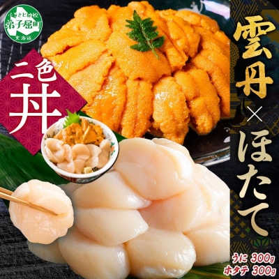ウニ 300g ホタテ 300g 2種セット 海鮮丼 北海道 弟子屈町 3341