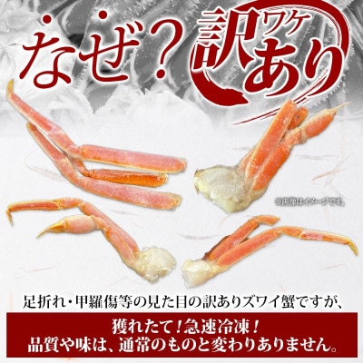 訳あり ズワイガニ足 約1kg ボイル済み 2～3人前 北海道 弟子屈町 3391