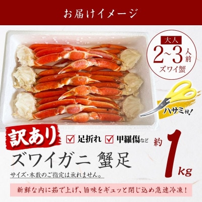 訳あり ズワイガニ足 約1kg ボイル済み 2～3人前 北海道 弟子屈町 3391