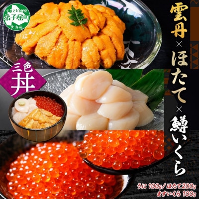 ウニ 100g 鱒いくら醤油漬け 100g ホタテ貝柱 200g 海鮮丼 北海道 弟子屈 3430