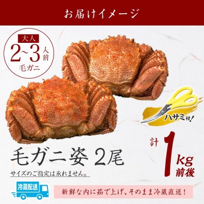 【2026年4月上旬発送】蟹職人の茹でたて毛蟹 2尾 計1kg前後 冷蔵 北海道 弟子屈町 3004