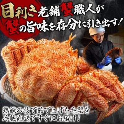 【2026年4月中旬発送】蟹職人の茹でたて毛蟹 2尾 計1kg前後 冷蔵 北海道 弟子屈町 3004
