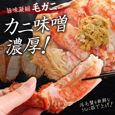 【2026年4月下旬発送】蟹職人の茹でたて毛蟹 2尾 計1kg前後 冷蔵 北海道 弟子屈町 3004