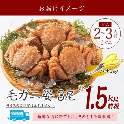 【2026年4月中旬発送】蟹職人の茹でたて毛蟹 3尾 計1.5kg前後 北海道 弟子屈町 3005