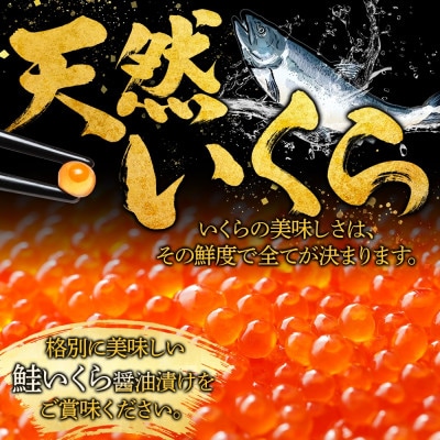 いくら醤油漬け 80g×8個 小分け 北海道 弟子屈町 3487