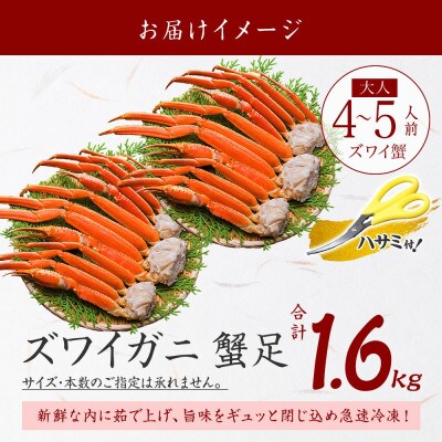 ズワイガニ足 約800g×2 計1.6kg  4～5人前 蟹足 ボイル 北海道 弟子屈町 3479