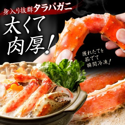タラバガニ足 約800g×3 計2.4kg前後 6～7人前 蟹 ハサミ付 北海道 弟子屈町 3478