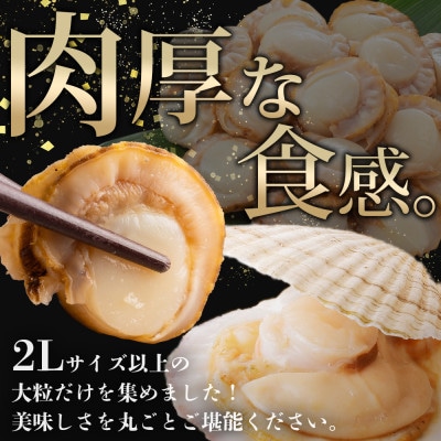 ボイル帆立 貝柱 2Lサイズ 500g×3袋 計1.5kg 北海道 弟子屈町 3496
