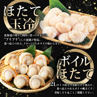ホタテ食べ比べ 計2kg ホタテ 刺身用 & 貝柱 ボイル済 2L 北海道 弟子屈町 3497