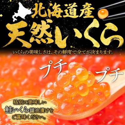 ウニ100g いくら醤油漬け 80g 北海道 弟子屈町 3491