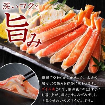 【無地熨斗】ズワイガニ足 約800g×2 計1.6kg 4～5人前 北海道 弟子屈町 3479