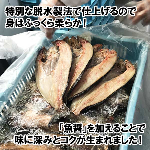 【2023年6月中旬発送】加藤水産のピチピチ造り干物 8種9点セット 北海道 弟子屈町 343