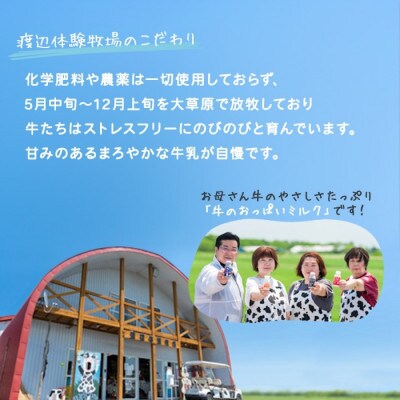 【のし付き】弟子屈ミルクプリン カスタード 6個 北海道 弟子屈町 1449