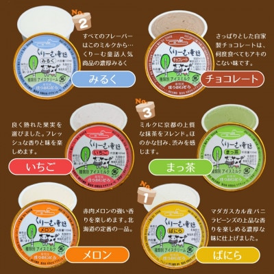 くりーむ童話　アイスクリーム　24個C