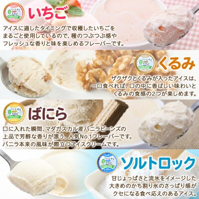 北海道 新鮮 アイスクリーム 食べ比べ 8個 手作り ジェラート 定番 おすすめ 北国B 1334