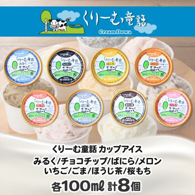 北海道 新鮮 アイスクリーム 食べ比べ 8個 手作り ジェラート 美味しさ 自慢 北国C 1335