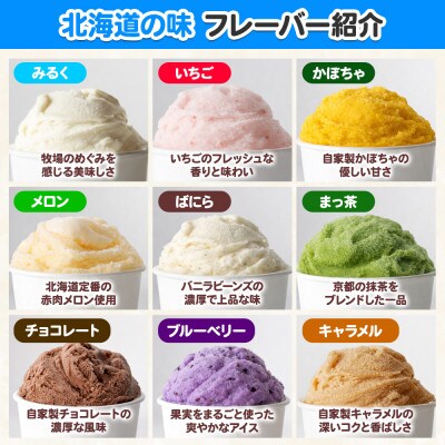 【のし付】北海道 新鮮 アイスクリーム 食べ比べ 15個 手作り ジェラート 北国A 1336