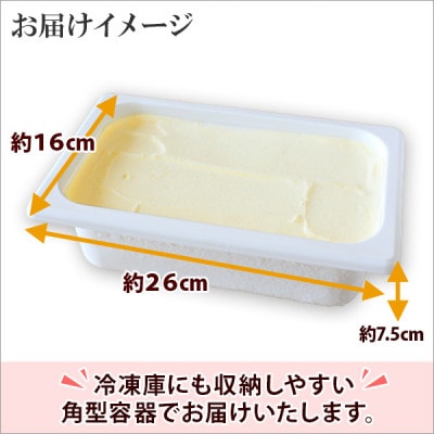 【のし付】【北海道】業務用 アイスクリーム バニラ 2L 手作り ジェラート 600