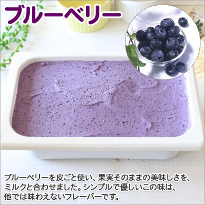 【のし付】【北海道】業務用 アイスクリーム ブルーベリー 2L 手作り ジェラート 604