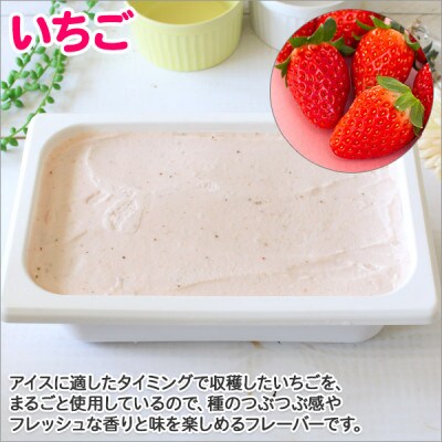 【のし付】【北海道】業務用 アイスクリーム いちご 2L 手作り ジェラート 606