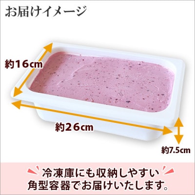 【のし付】【北海道】業務用 アイスクリーム ハスカップ 2L 手作り ジェラート 607