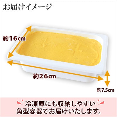 【のし付】【北海道】業務用 アイスクリーム かぼちゃ 2L 手作り ジェラート 611
